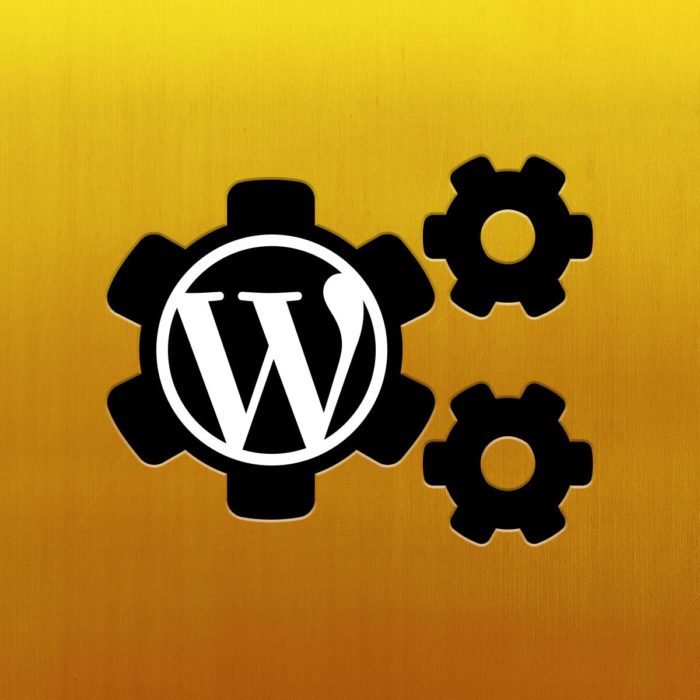 WordPress Wartungsvertrag Backup, Update & Secure Gold